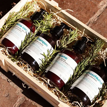 Podere L'agave サン·ヴィンチェンツォ