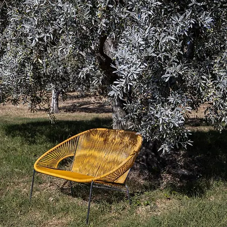 Podere L'agave San Vincenzo