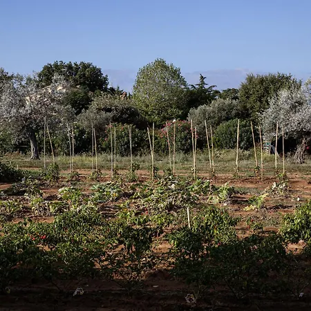 Bauernhof Podere L'agave