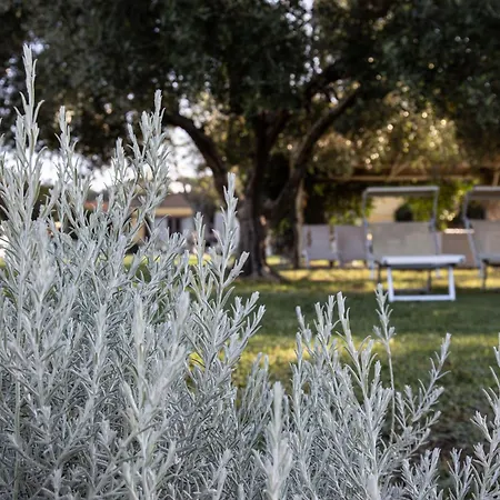 Podere L'agave