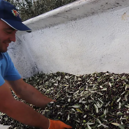 Bauernhof Podere L'agave *