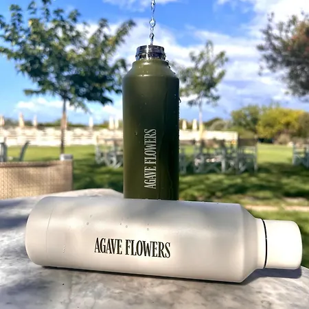 Podere L'agave ファームステイ